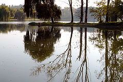 фото "Quiet morning / Тихое утро"