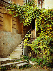 photo "***"