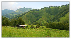 photo "On forest road"