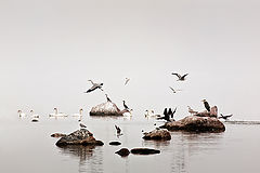 фото "Utro"