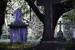 фото "память (2)"