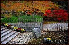 photo "Japanese garden 2"