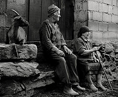 photo "Rural Moments"