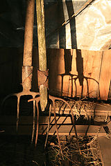 фото "Вилы"