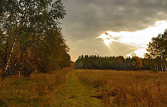 photo "***"
