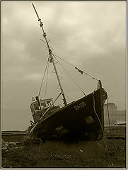 фото "RA-100"