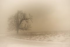 photo "***"
