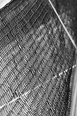 фото "Net"