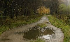 фото "глазастая"