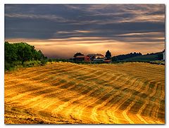 photo "Fields"