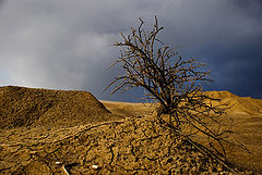 фото "Last"
