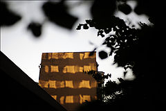 photo "***"