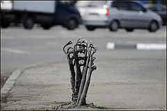 photo "hands of underground monsters%)"