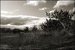 photo "***"