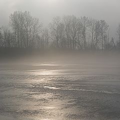 photo "***"