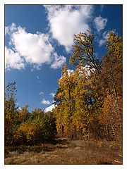 photo "***"