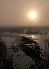 photo "***"