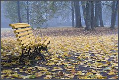 photo "Light expectation"