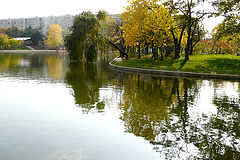 фото "Reflexes autumnale"