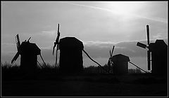 фото "Мельницы"