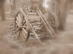 photo "The misty past."