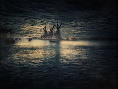 photo "Refuge II"