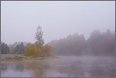 photo "A little bit paints in grey daily round"