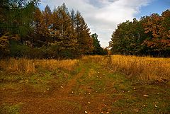 photo "***"