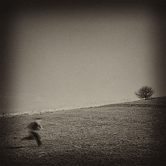 фото "escape..."