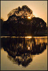 photo "***"
