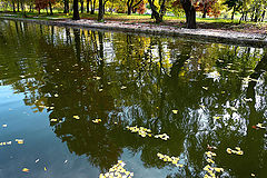 фото "Autumn reflections."