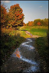photo "From light to shadow"