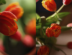 photo "подарки"