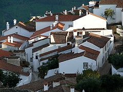 фото "Roofs"