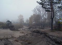 photo "Silence"