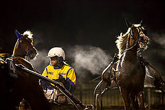 фото "The race"