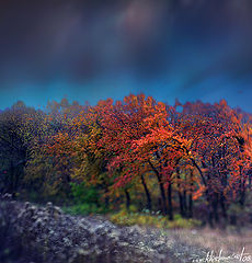 photo "My October"