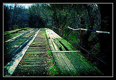 фото "Дорога в Silent Hill"