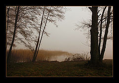 photo "The Thing and The Lake"