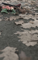 фото "Last song"