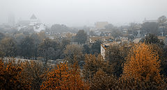 photo "***"