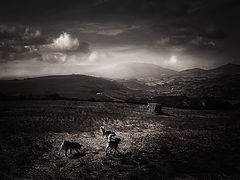 photo "Countryside"