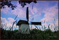 photo "old windmill"