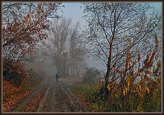 photo "The Violet mist..."