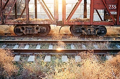 фото "На пенсии"