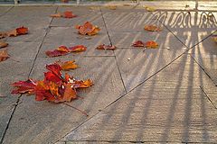 фото "утро"