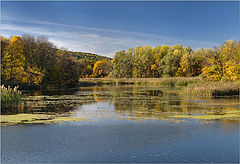 photo "The river"