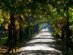 фото "Colored Tunnel"