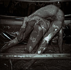 фото "GIRLS: Erotic Sensuality of Struggle"