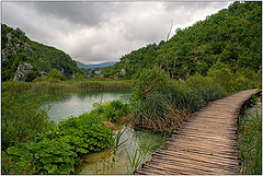 photo "Planked footway of Plitvice-4"